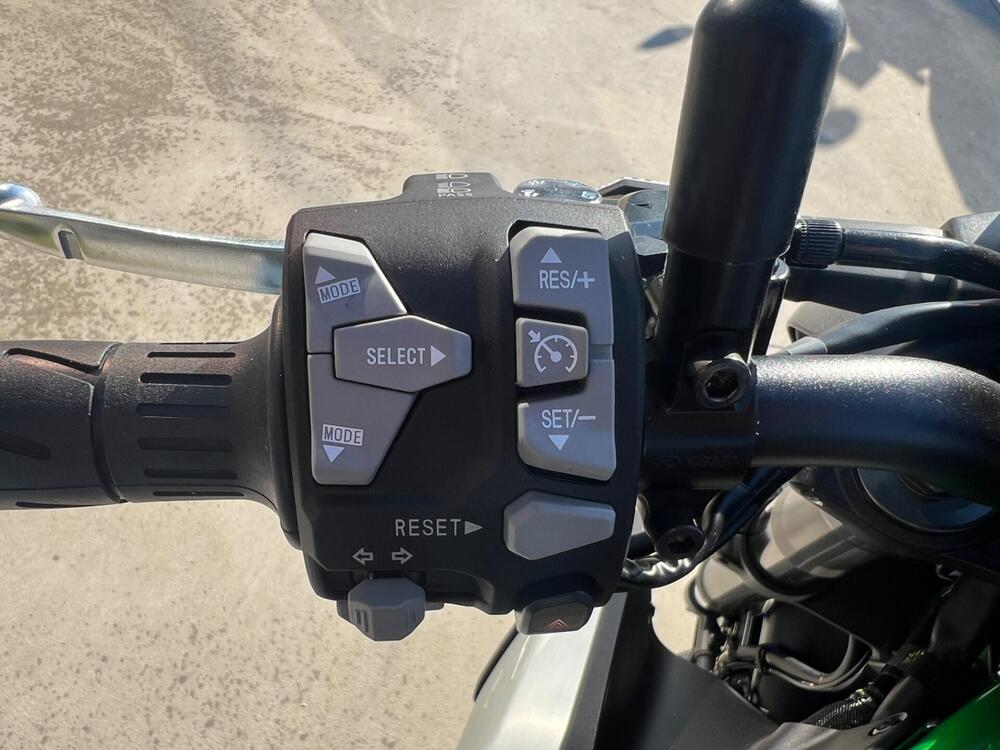 Kawasaki Z 900 (2025 - 26) (5)