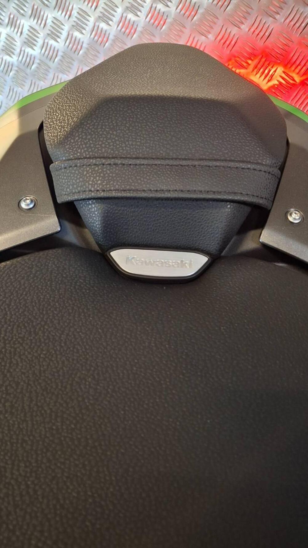 Kawasaki Z 900 (2025 - 26) (8)