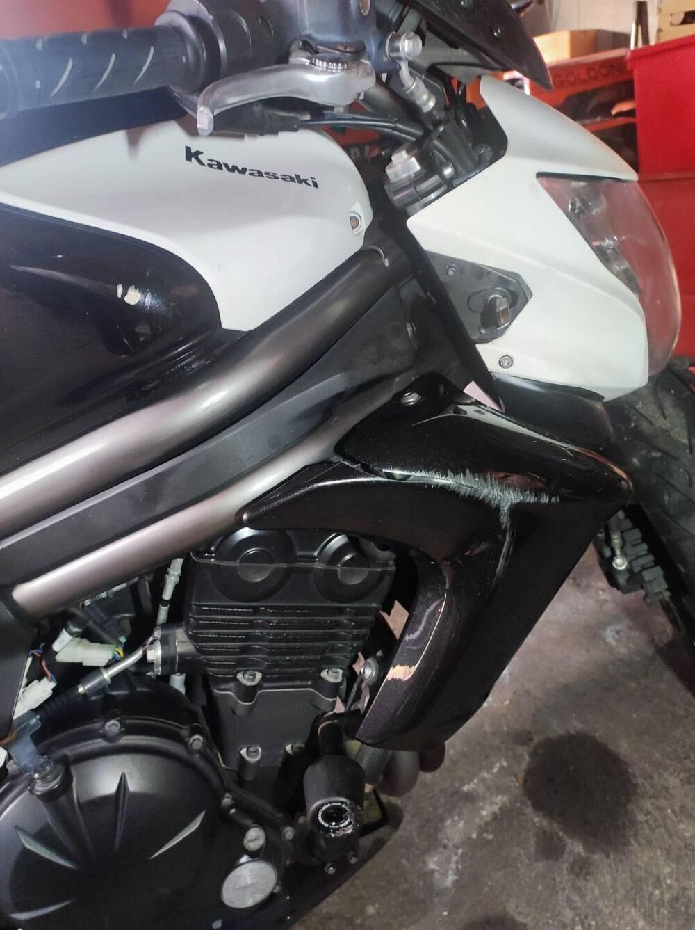 Kawasaki ER-6N (2012 - 13) (5)