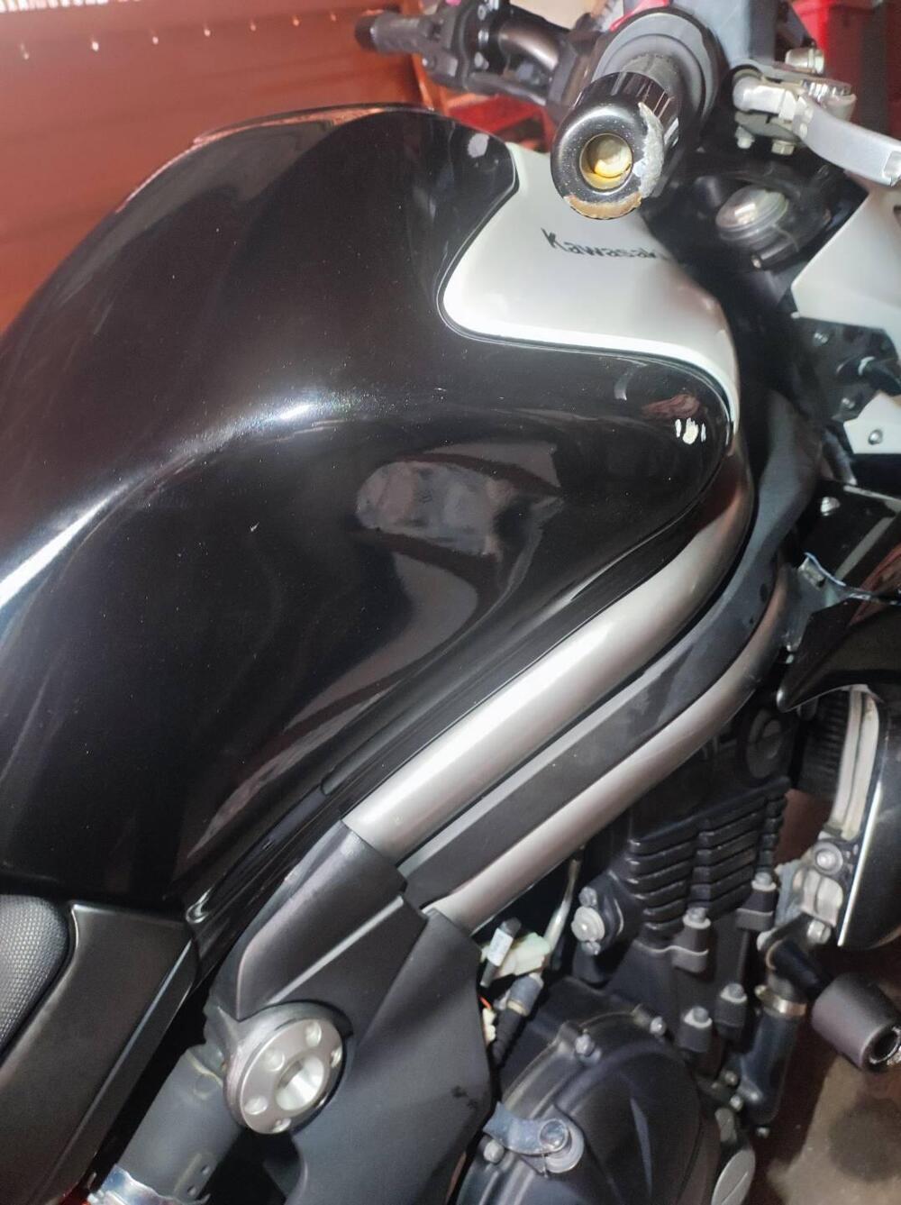 Kawasaki ER-6N (2012 - 13) (7)