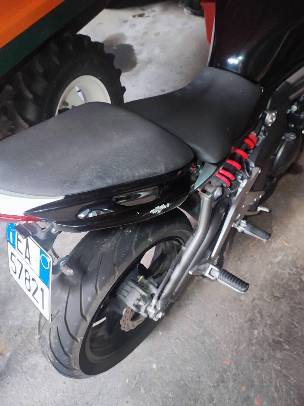 Kawasaki ER-6N (2012 - 13) (8)