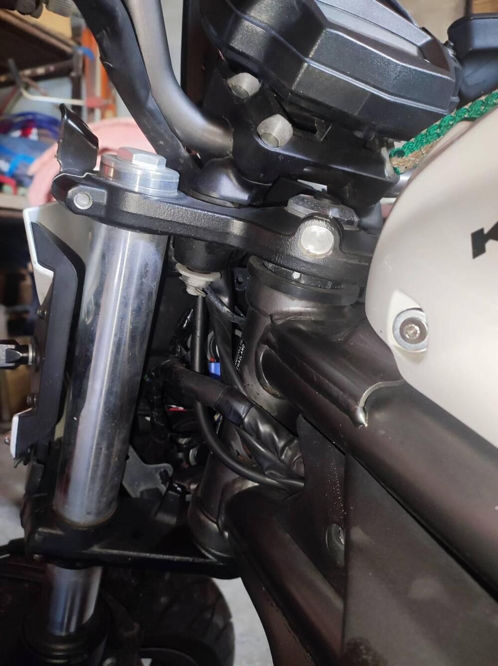 Kawasaki ER-6N (2012 - 13) (9)