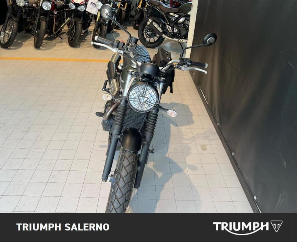 Triumph Street Scrambler 900 (2019 - 20) (4)
