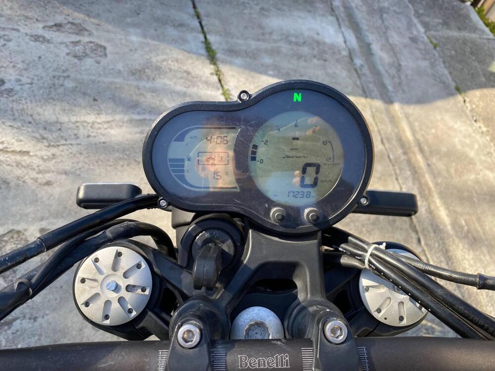 Benelli Leoncino 500 (2021 - 25) (3)