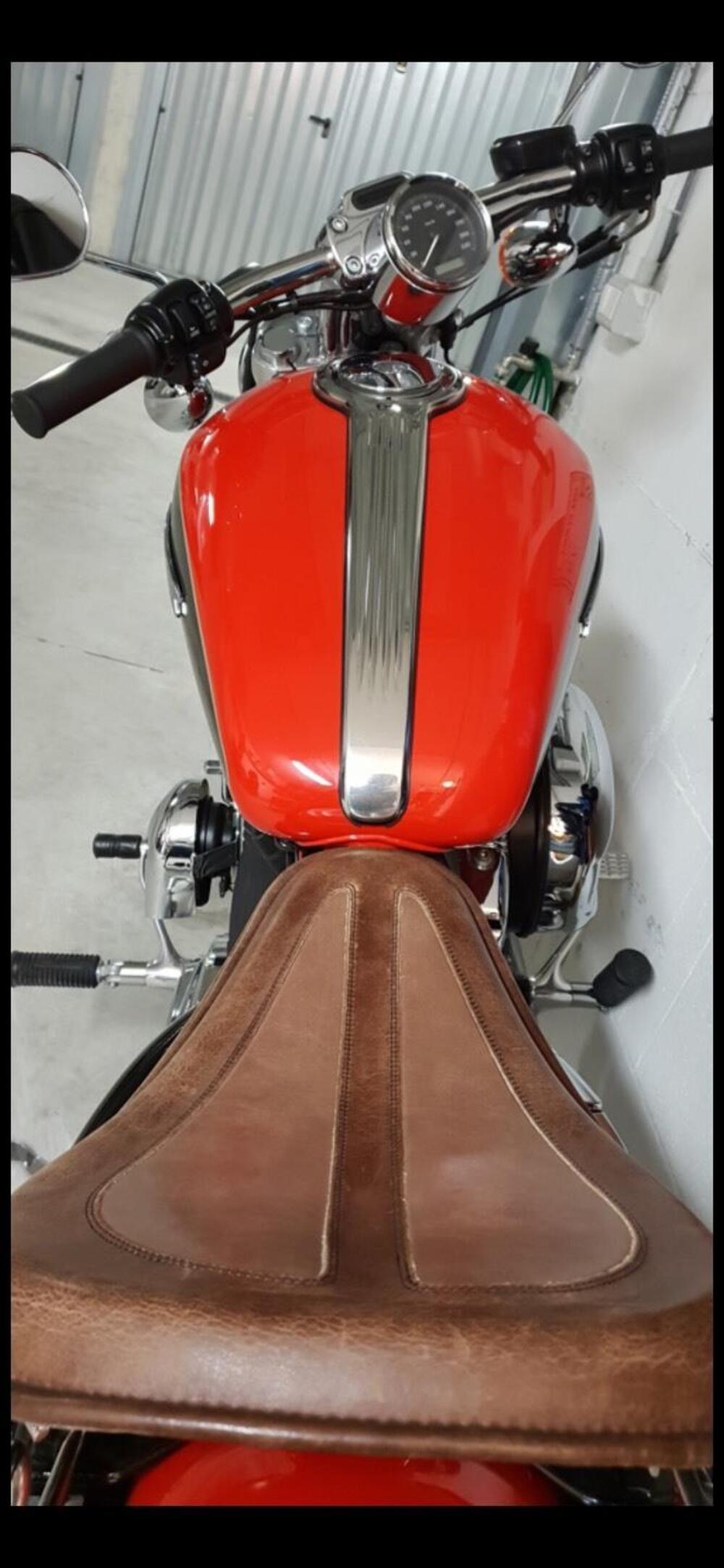 Harley-Davidson 1200 Custom (2007 - 13) - XL 1200C (5)