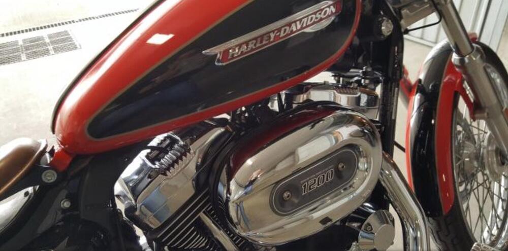 Harley-Davidson 1200 Custom (2007 - 13) - XL 1200C (8)