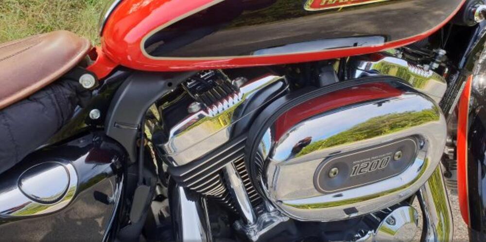 Harley-Davidson 1200 Custom (2007 - 13) - XL 1200C (10)