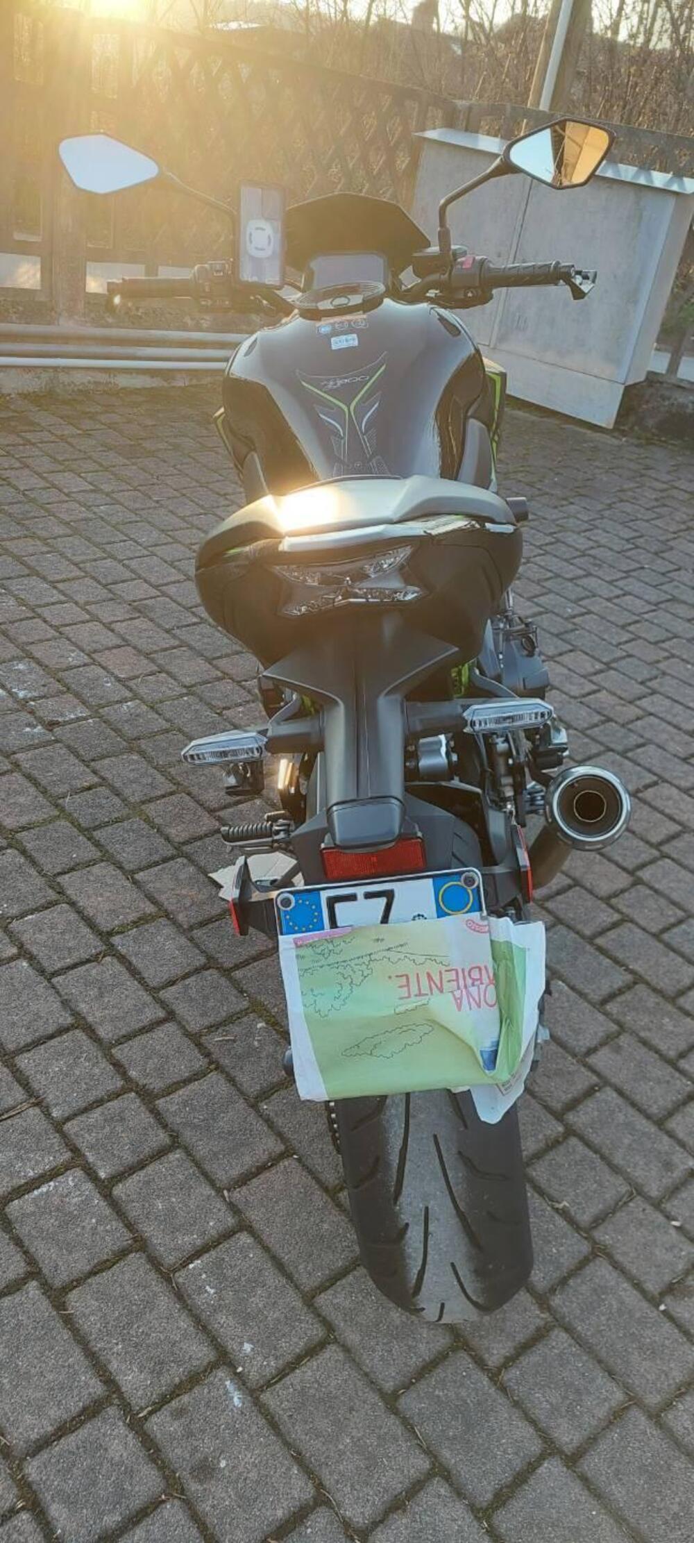 Kawasaki Z 900 (2021 - 24) (4)