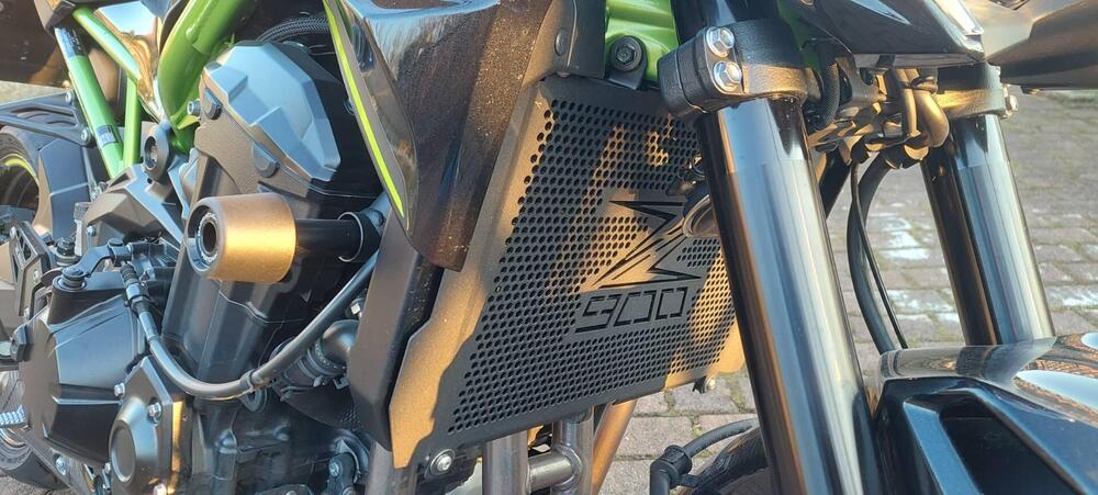 Kawasaki Z 900 (2021 - 24) (6)