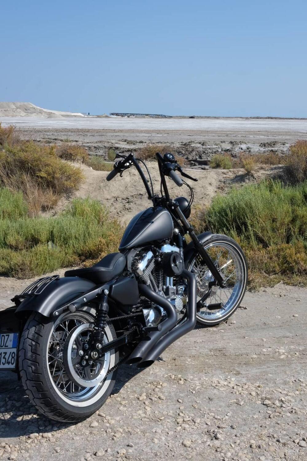 Harley-Davidson 1200 Seventy-Two (2011 - 16) (10)