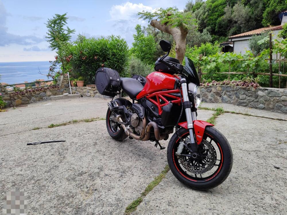Ducati Monster 821 ABS (2014 - 17) (15)