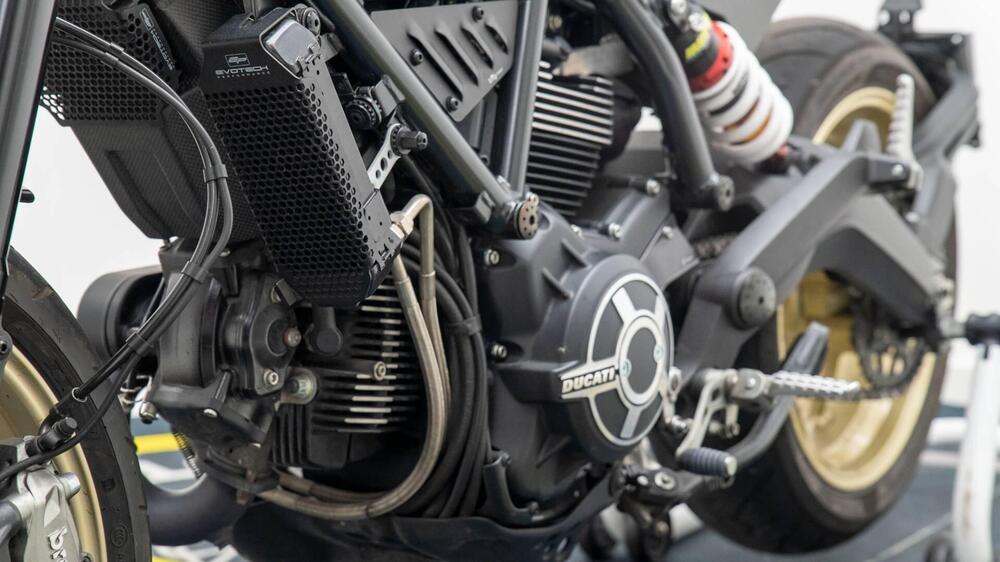 Ducati Scrambler 800 Cafè Racer (2017 - 21) (11)