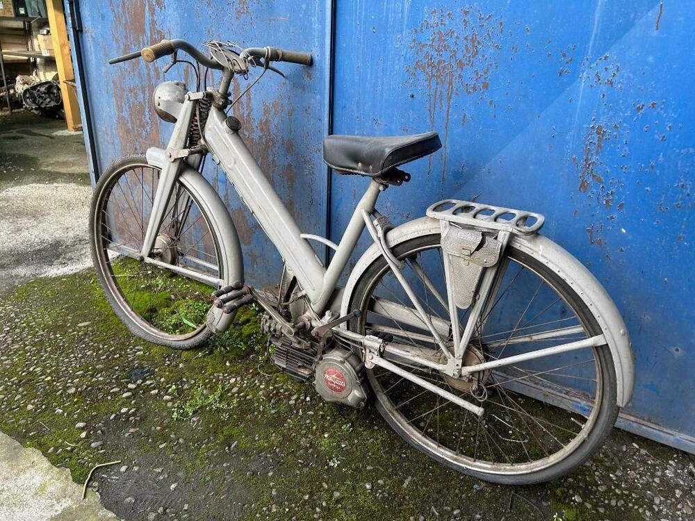 Garelli MOSQUITO (4)