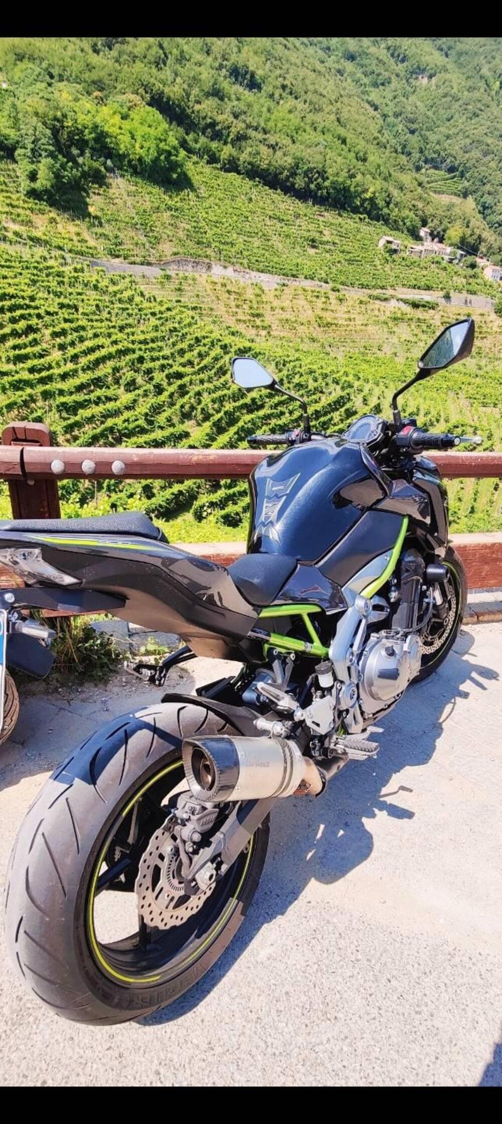 Kawasaki Z 900 (2017 - 18) (2)