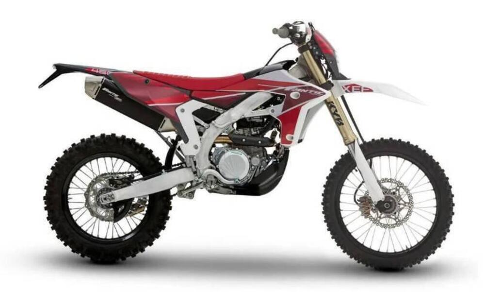 Fantic Motor XEF 450 (2025) (2)