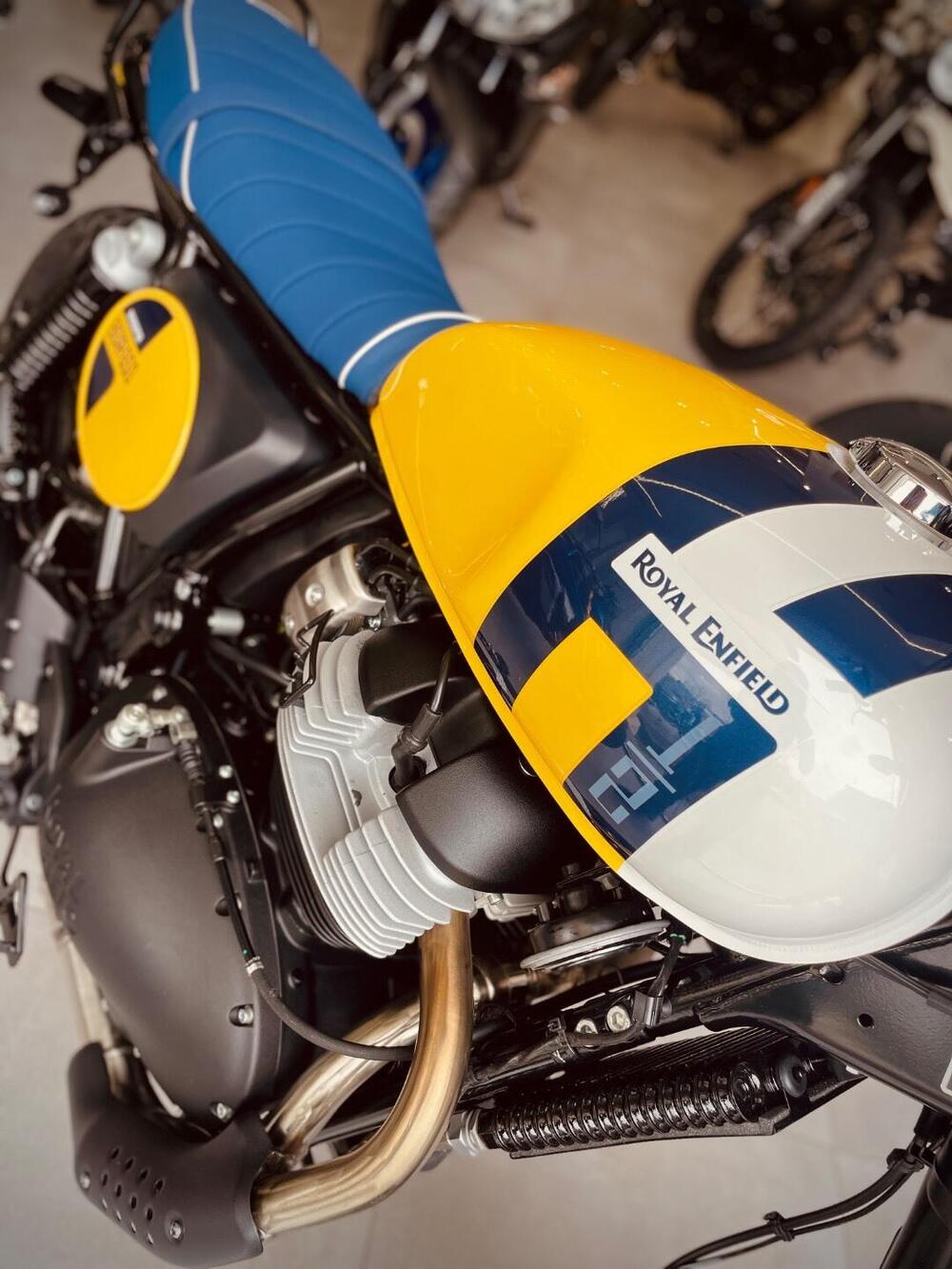 Royal Enfield Bear 650 (2025) (3)