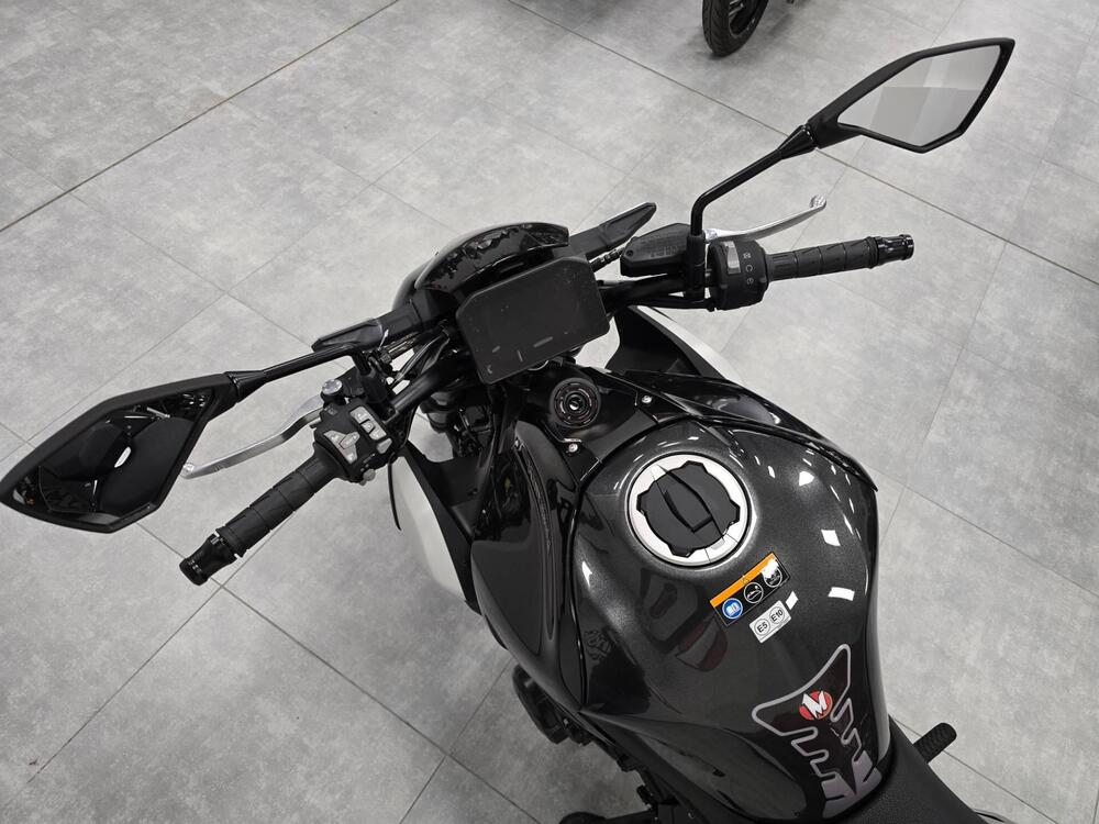 Kawasaki Z 900 (2025 - 26) (4)