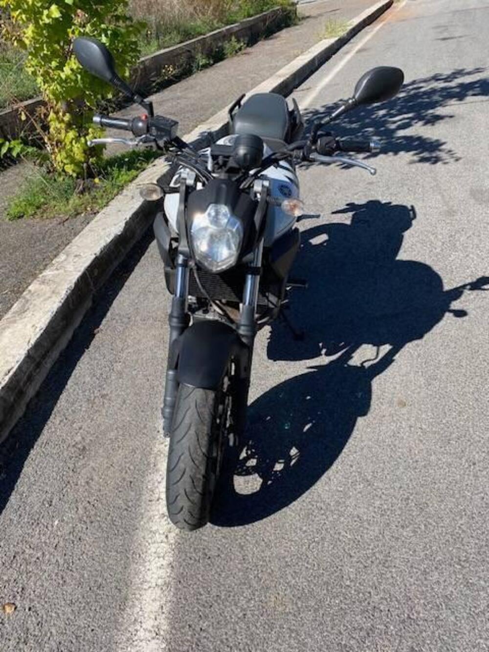 Yamaha MT-03 (2006 - 14) (9)