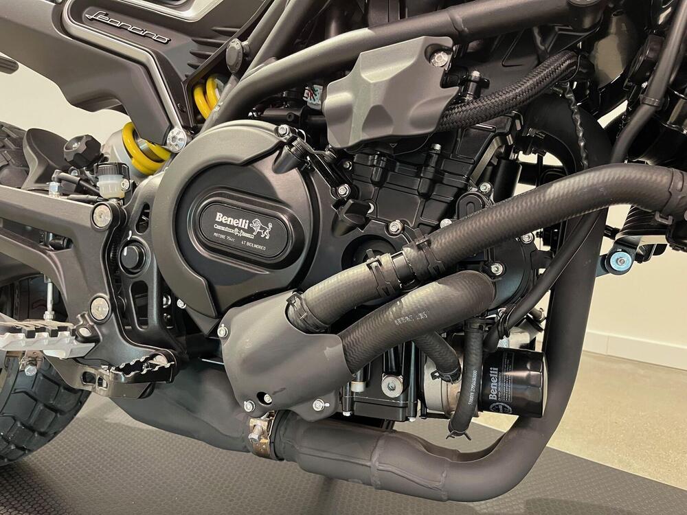 Benelli Leoncino 800 (2022 - 25) (10)