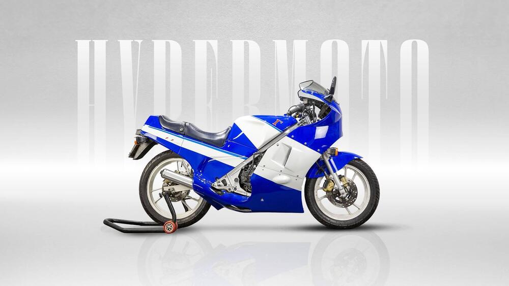 Suzuki RG 250 Gamma (1989 - 93)