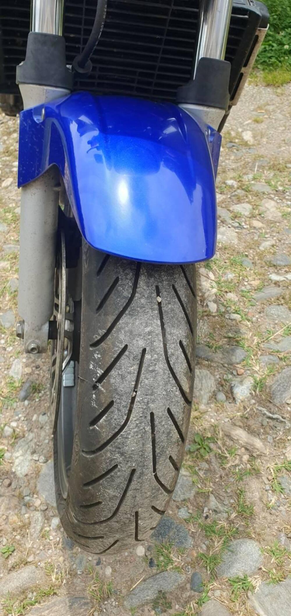 Honda Hornet 600 (2003 - 04) (2)