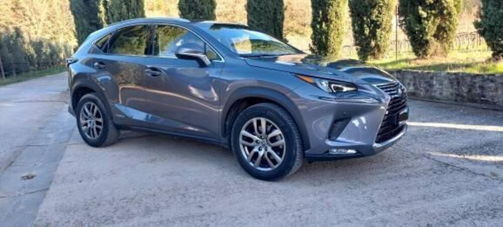 Lexus NX usata a Firenze