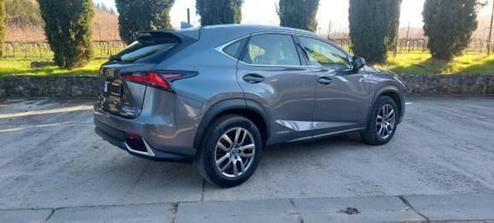 Lexus NX usata a Firenze (2)