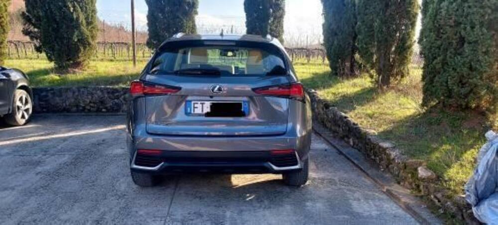 Lexus NX usata a Firenze (3)