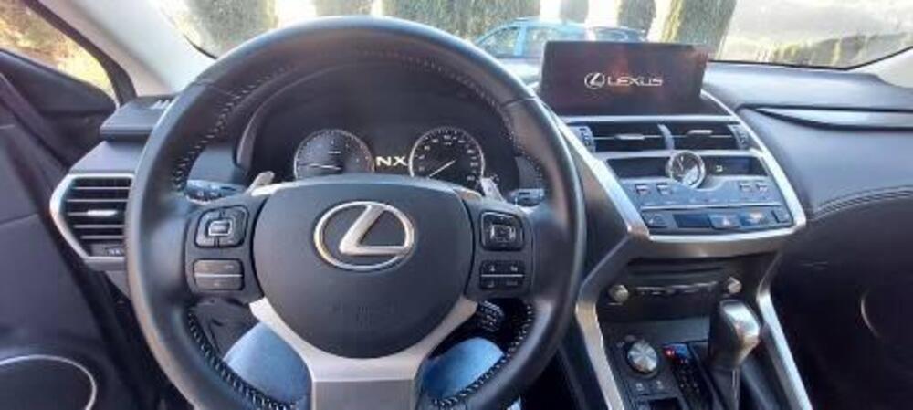 Lexus NX usata a Firenze (7)