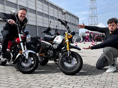 MotoDays 2025: cosa vi siete persi! La festa &egrave; fuori! [VIDEO]