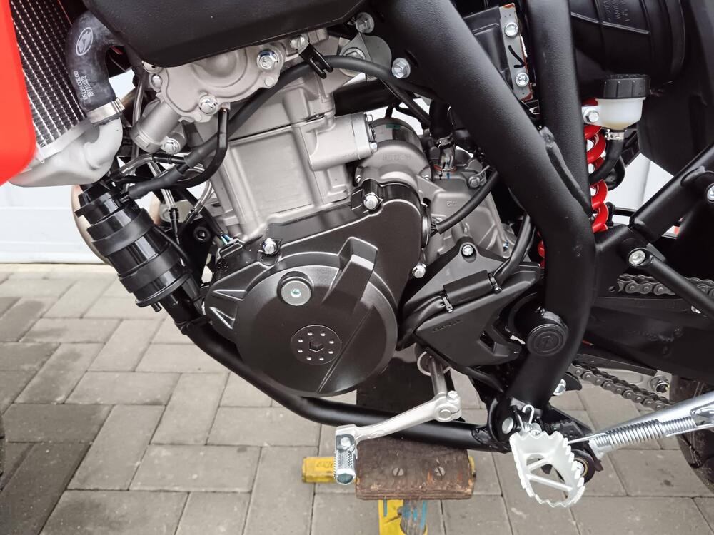 Betamotor RR 125 4T Motard T (2023 - 24) (8)