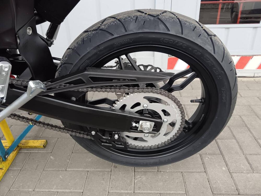 Betamotor RR 125 4T Motard T (2023 - 24) (12)