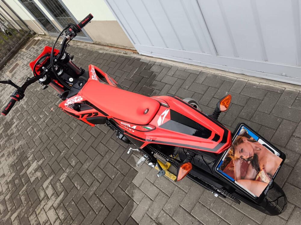 Betamotor RR 125 4T Motard T (2023 - 24) (20)