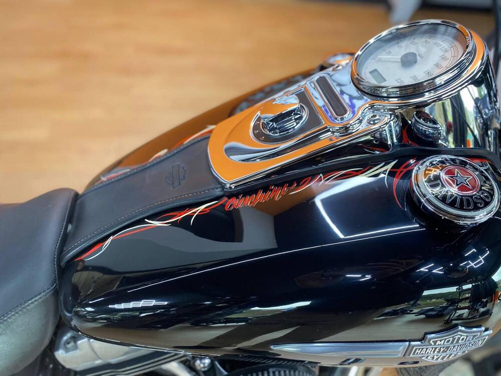 Harley-Davidson 1584 Fat Bob (2007 - 13) - FXDF (4)