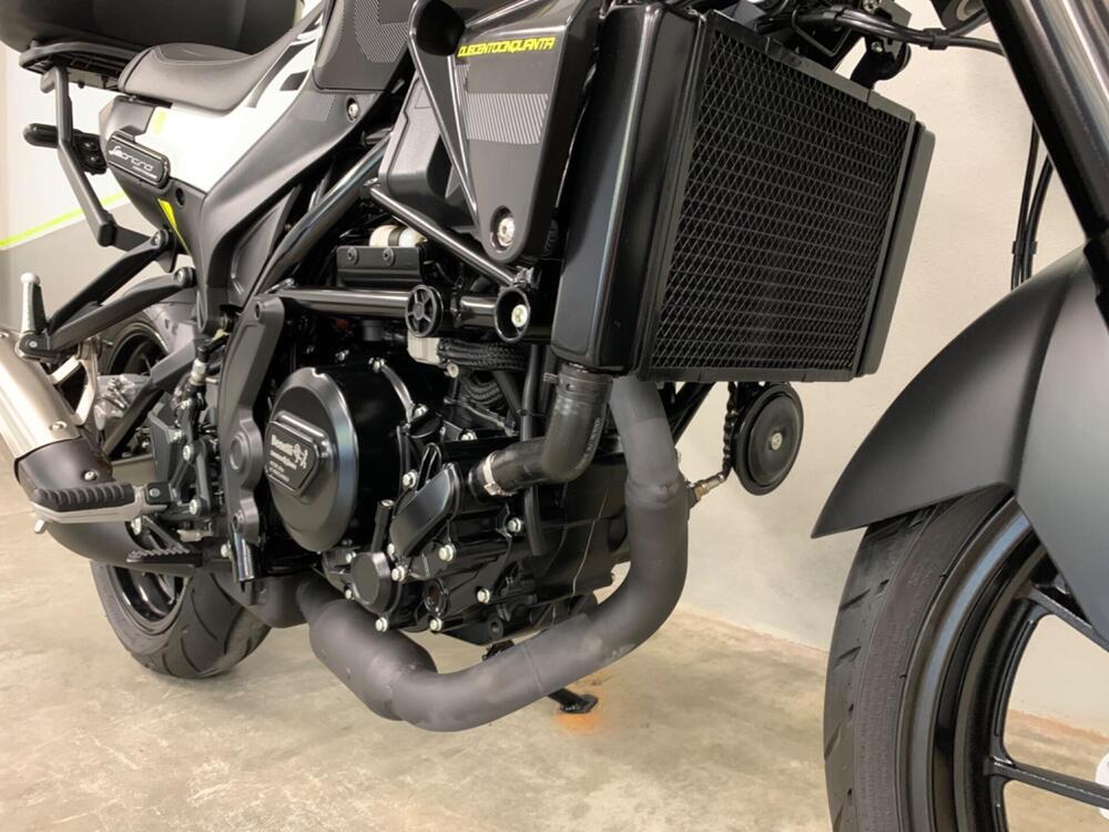 Benelli Leoncino 250 (2021 - 25) (4)