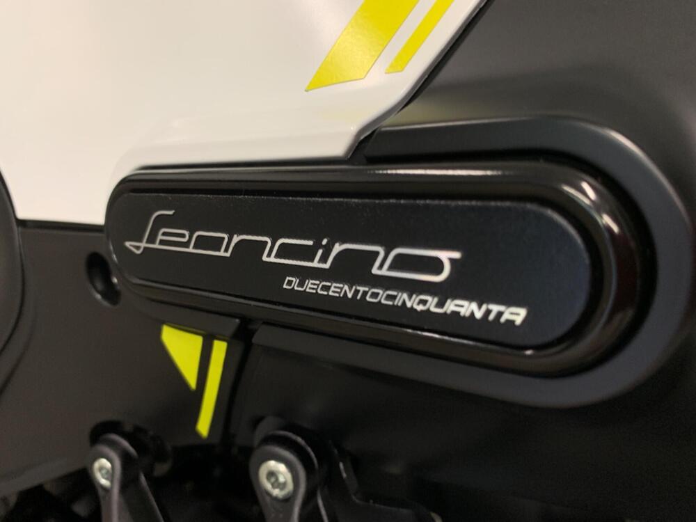 Benelli Leoncino 250 (2021 - 25) (13)