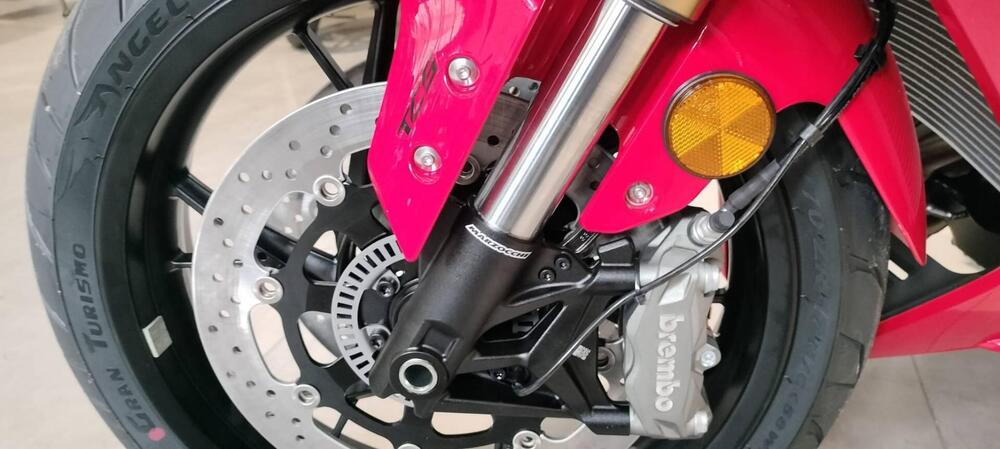 QJ Motor SRK 800 RR (2025) (7)