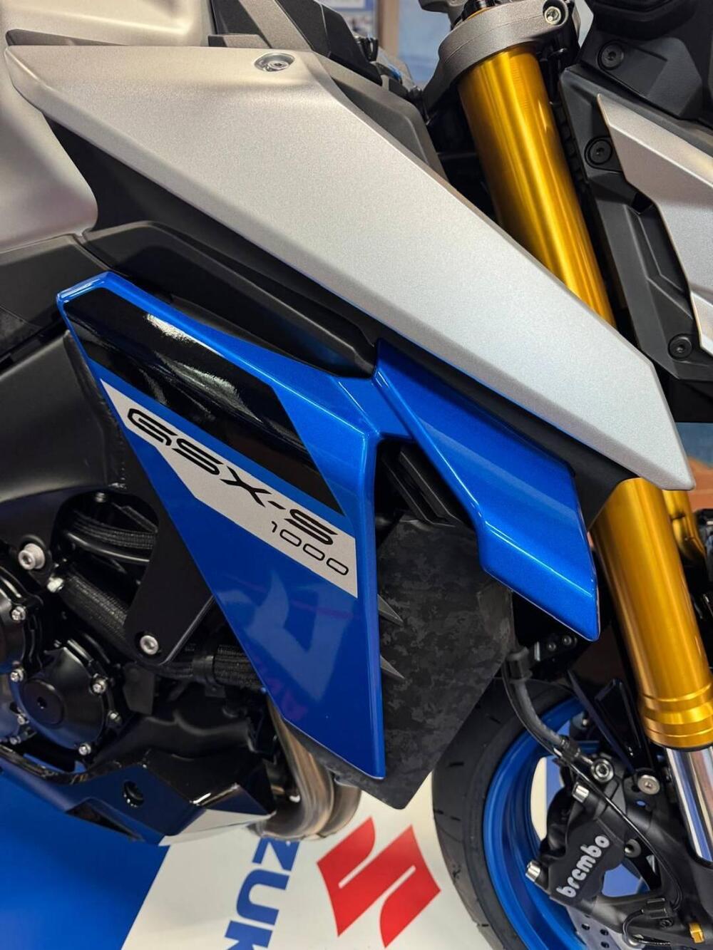 Suzuki GSX-S1000 EVO (2025 - 26) (2)