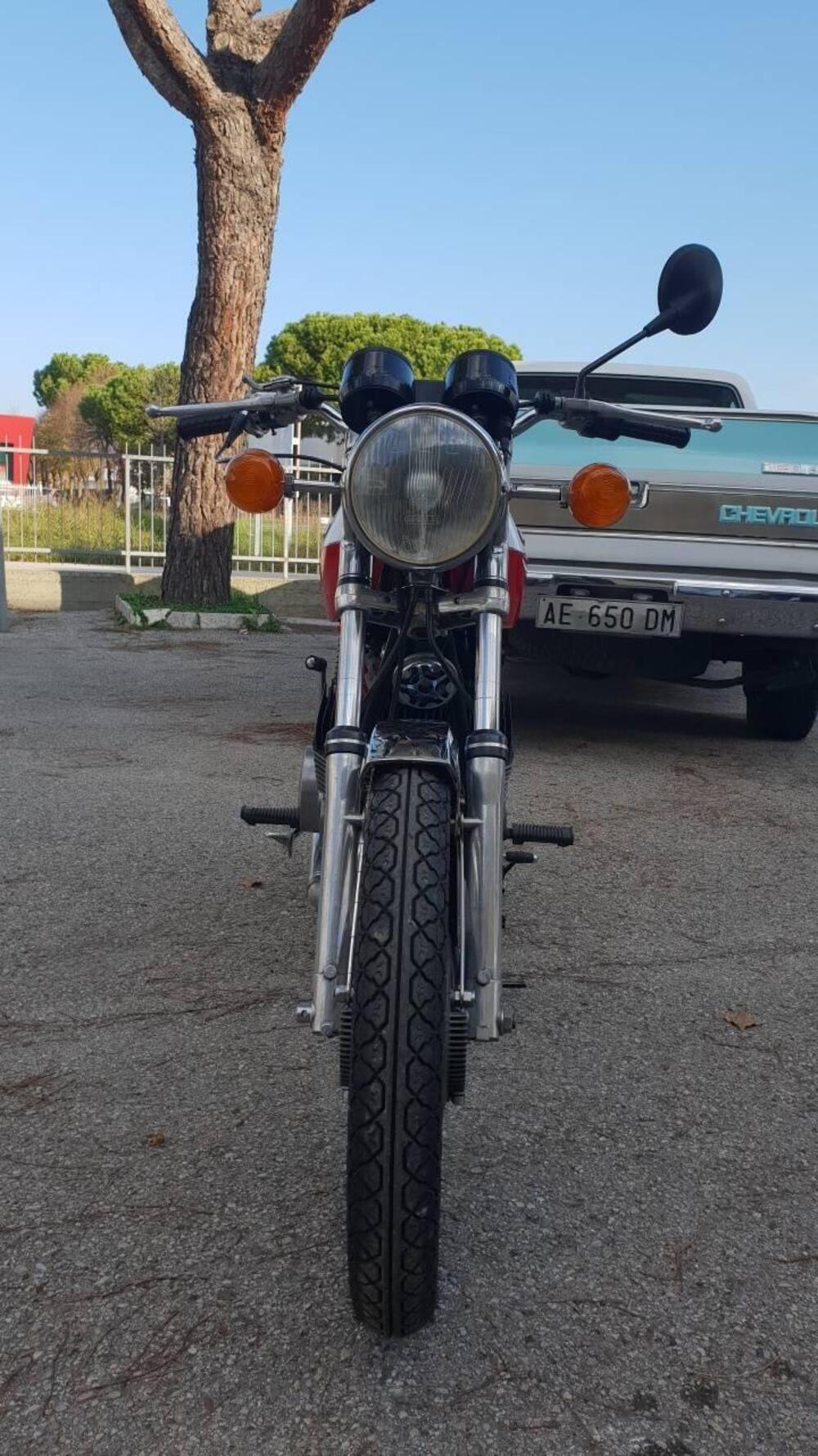 Moto Guzzi 250 TS (3)
