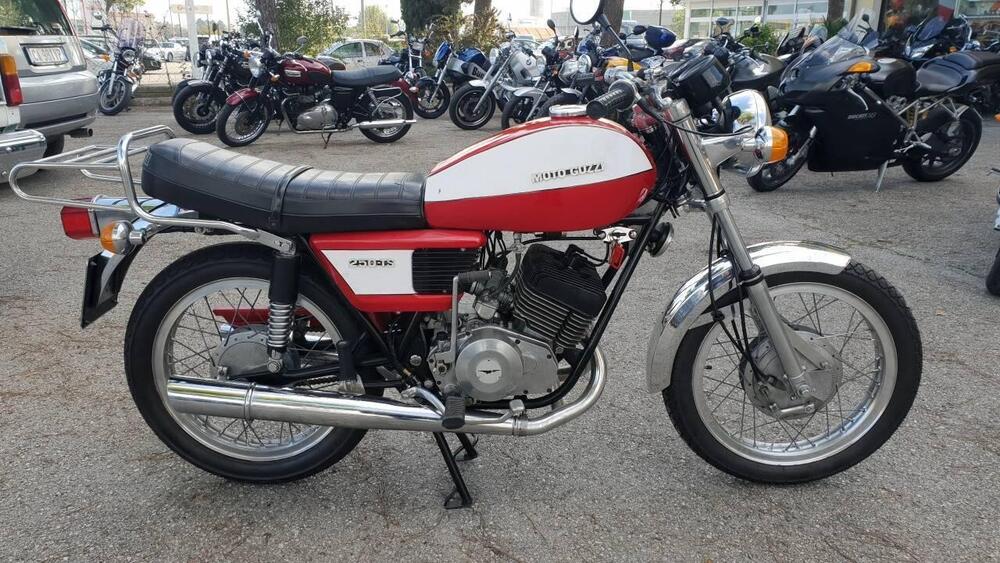 Moto Guzzi 250 TS (4)