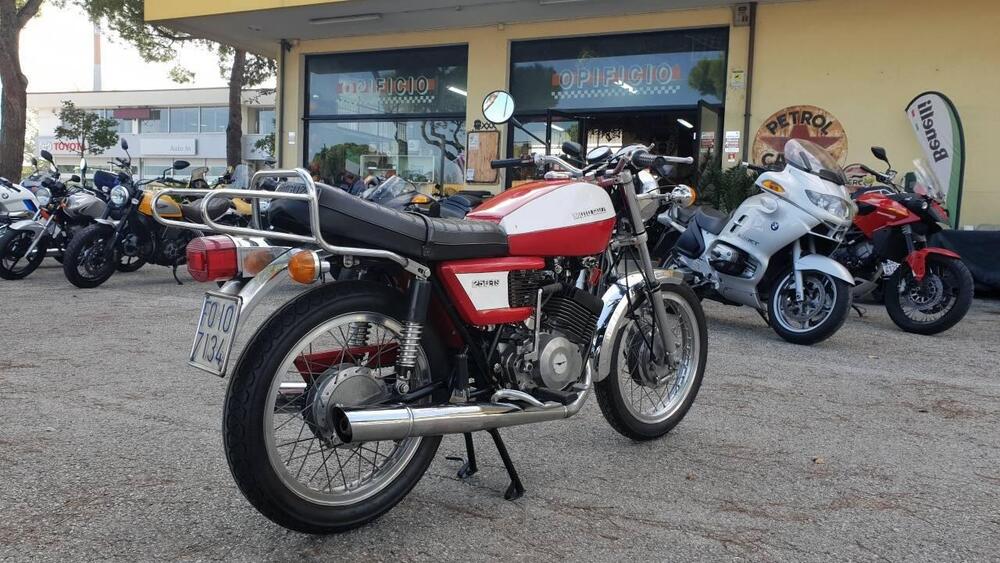 Moto Guzzi 250 TS (7)