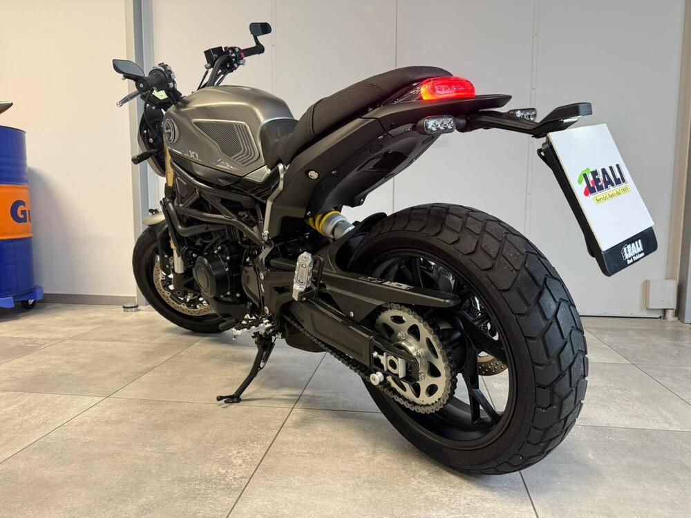 Benelli Leoncino 800 (2022 - 25) (4)