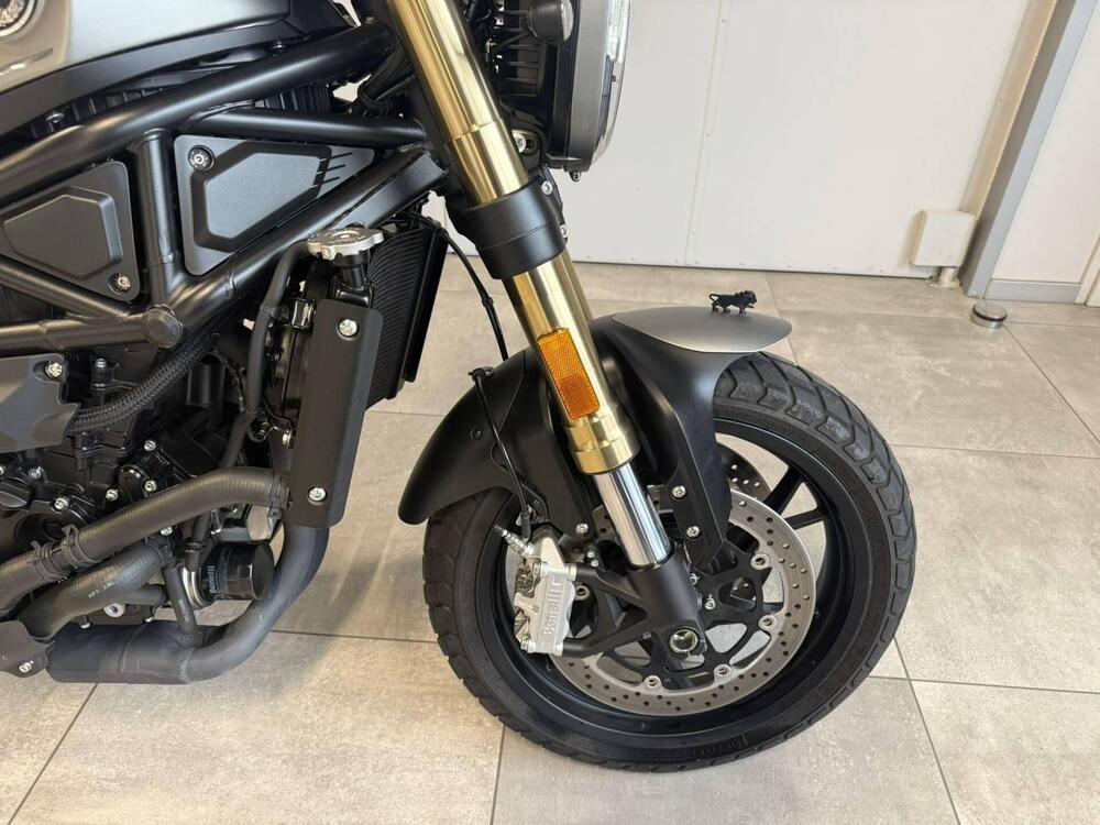 Benelli Leoncino 800 (2022 - 25) (6)