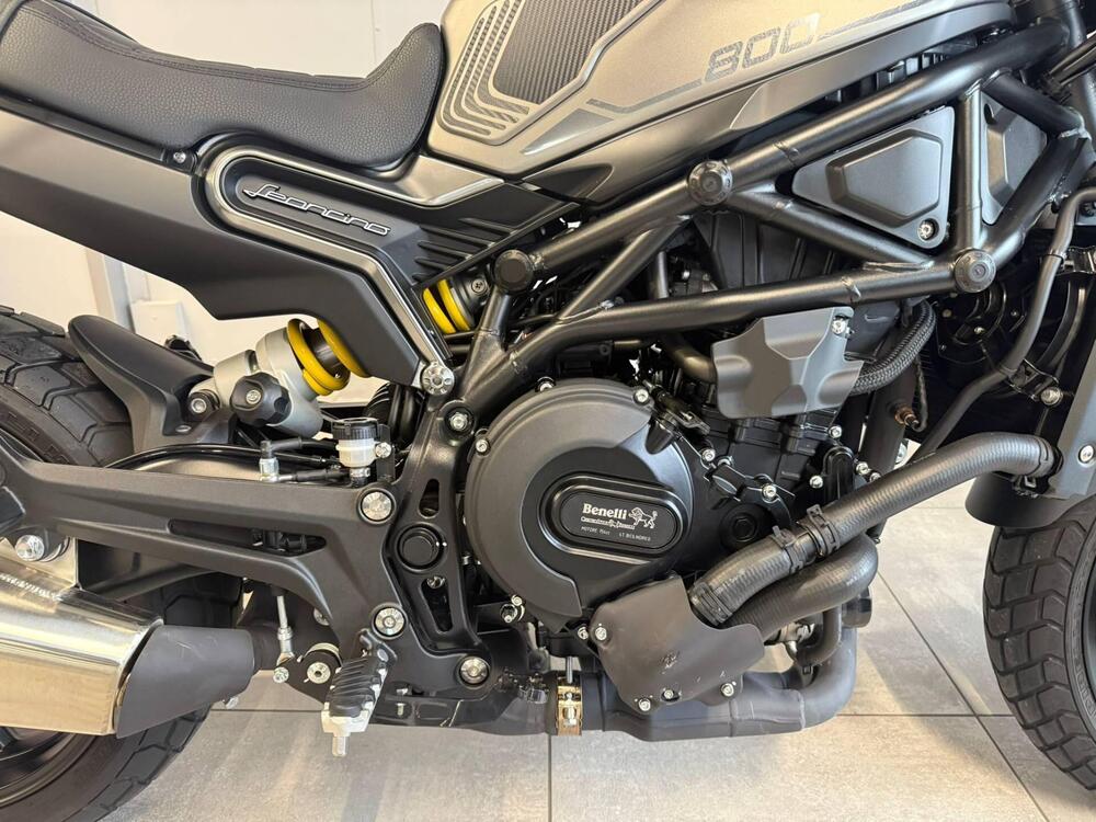 Benelli Leoncino 800 (2022 - 25) (8)