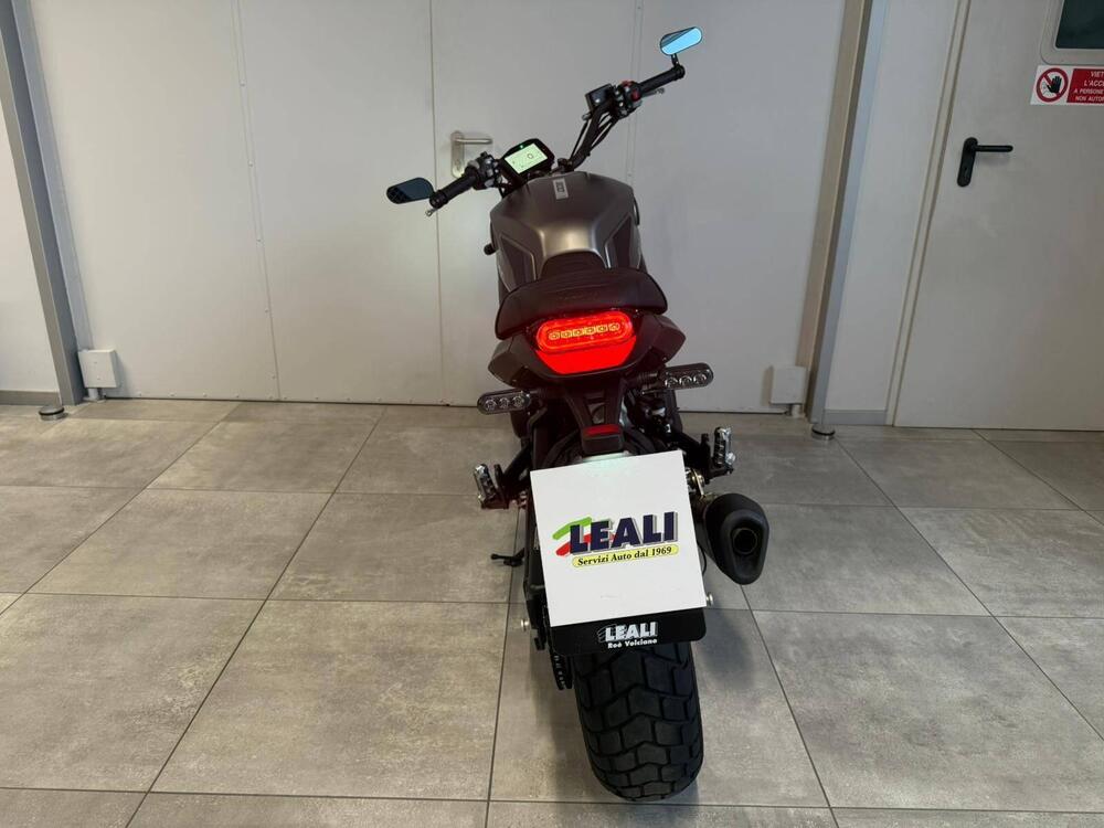 Benelli Leoncino 800 (2022 - 25) (9)