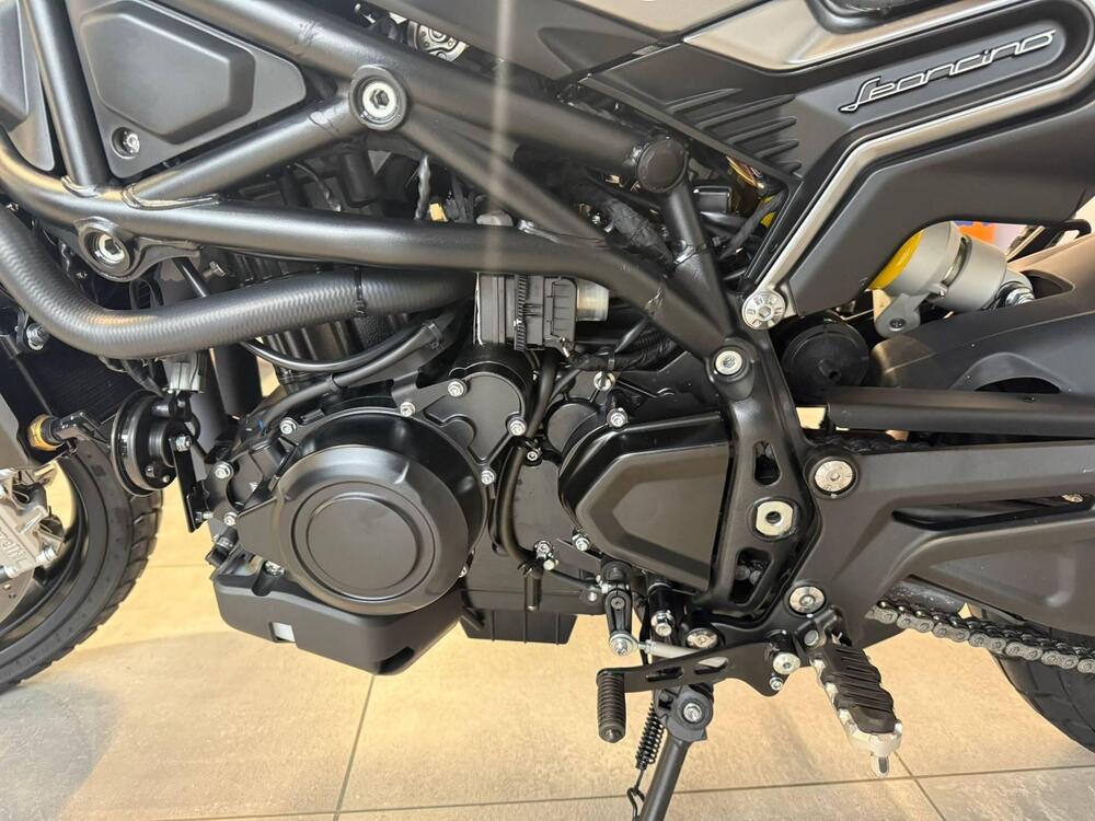 Benelli Leoncino 800 (2022 - 25) (10)