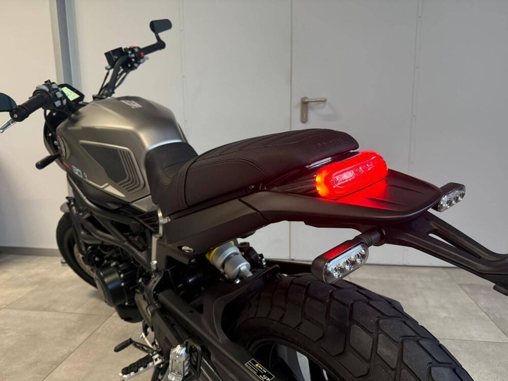 Benelli Leoncino 800 (2022 - 25) (15)