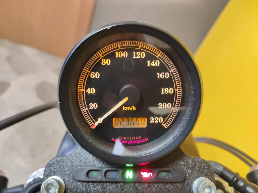 Harley-Davidson 883 R (2002 - 03) - XL 883R (5)