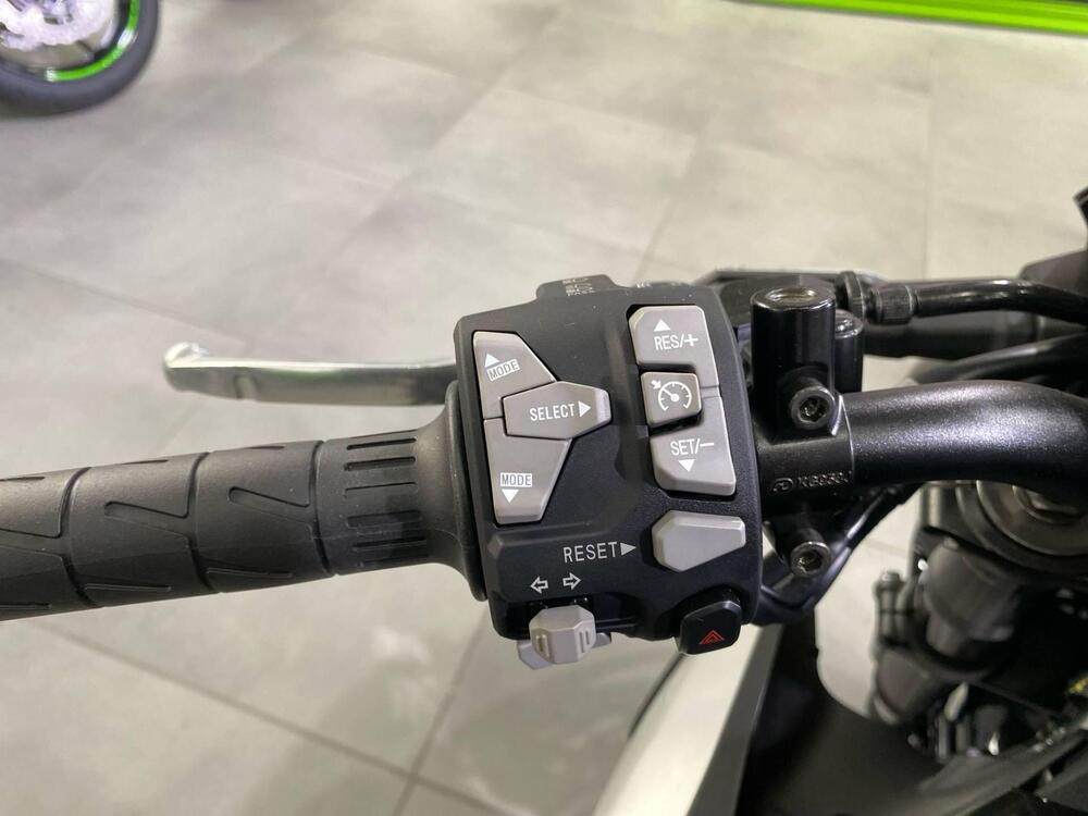 Kawasaki Z 900 (2025 - 26) (4)