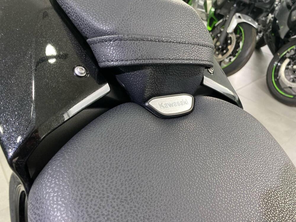 Kawasaki Z 900 (2025 - 26) (11)